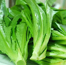 油麦菜 油麦菜