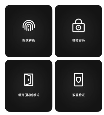 智能门锁C200 智能门锁C200